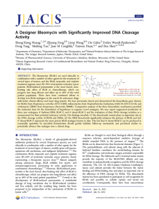 ﬁcantly Improved DNA Cleavage A Designer Bleomycin with Signi Activity