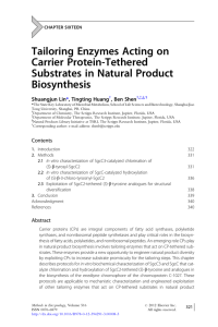 Tailoring Enzymes Acting on Carrier Protein-Tethered Substrates in Natural Product Biosynthesis