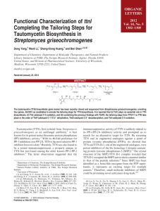 Functional Characterization of ttnI Completing the Tailoring Steps for Tautomycetin Biosynthesis in