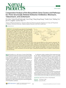 Comparative Analysis of the Biosynthetic Gene Clusters and Pathways
