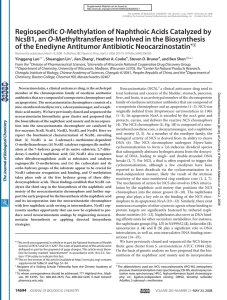 O of the Enediyne Antitumor Antibiotic Neocarzinostatin *