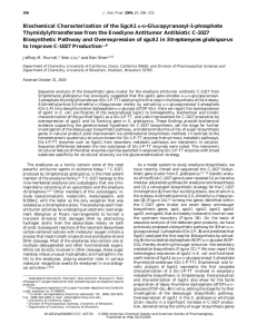 Biochemical Characterization of the SgcA1 -Glucopyranosyl-1-phosphate