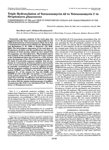 Triple  Hydroxylation A2 Streptomyces  glaucescens