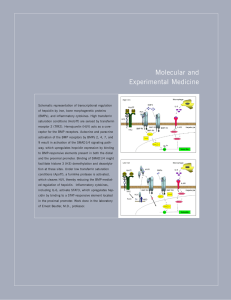Molecular and Experimental Medicine