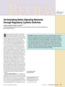 Orchestrating Redox Signaling Networks through Regulatory Cysteine Switches