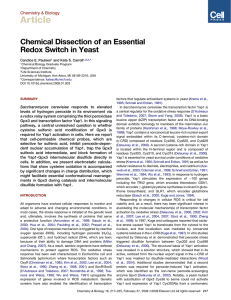 Article Chemical Dissection of an Essential Redox Switch in Yeast Chemistry &amp; Biology