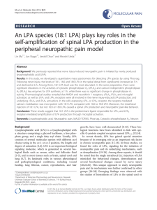 An LPA species (18:1 LPA) plays key roles in the