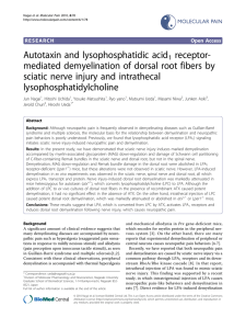 Autotaxin and lysophosphatidic acid receptor- mediated demyelination of dorsal root fibers by
