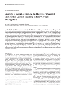 Diversity of Lysophosphatidic Acid Receptor-Mediated Intracellular Calcium Signaling in Early Cortical