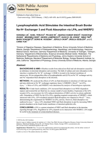 Lysophosphatidic Acid Stimulates the Intestinal Brush Border Na /H
