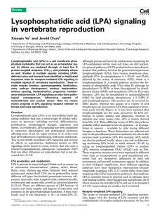Lysophosphatidic acid (LPA) signaling in vertebrate reproduction Ye Chun