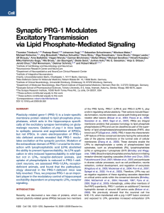 Synaptic PRG-1 Modulates Excitatory Transmission via Lipid Phosphate-Mediated Signaling
