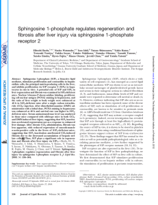 Sphingosine 1-phosphate regulates regeneration and