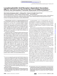 Lysophosphatidic Acid Receptor-dependent Secondary Effects via Astrocytes Promote Neuronal Differentiation