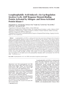 Lysophosphatidic Acid-Induced c-fos Up-Regulation Involves Cyclic AMP Response Element-Binding