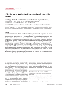 LPA Receptor Activation Promotes Renal Interstitial Fibrosis