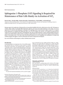 Sphingosine 1-Phosphate (S1P) Signaling Is Required for