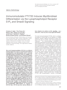 Immunomodulator FTY720 Induces Myofibroblast Differentiation via the Lysophospholipid Receptor S1P and Smad3 Signaling