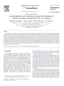 Lysophosphatidic acid stimulates neuronal differentiation of cortical neuroblasts through the LPA –G pathway