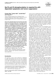 Ser18 and 23 phosphorylation is required for p53- Connie Chao