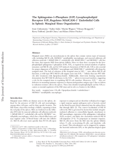 The Sphingosine-1-Phosphate (S1P) Lysophospholipid Receptor S1P Regulates MAdCAM-1