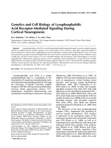 Genetics and Cell Biology of Lysophosphatidic Acid Receptor-Mediated Signaling During Cortical Neurogenesis