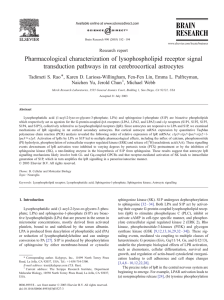 Pharmacological characterization of lysophospholipid receptor signal
