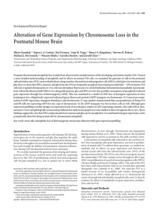 Alteration of Gene Expression by Chromosome Loss in the
