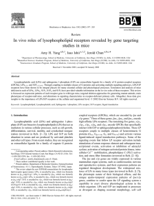In vivo roles of lysophospholipid receptors revealed by gene targeting *