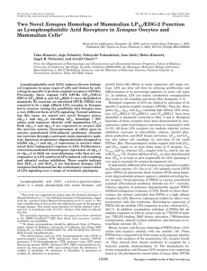 Xenopus /EDG-2 Function Mammalian Cells* A1