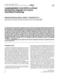 Lysophosphatidic Acid (LPA) Is a Novel Extracellular Regulator of Cortical Neuroblast Morphology