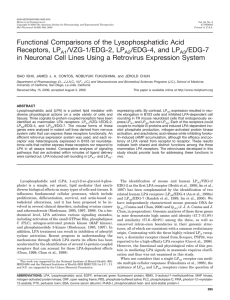 Functional Comparisons of the Lysophosphatidic Acid Receptors, LP /VZG-1/EDG-2, LP /EDG-4, and LP