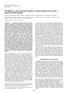 D-AKAP2, a novel protein kinase A anchoring protein with a L J