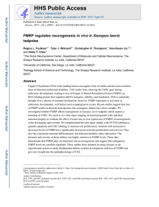 HHS Public Access in vivo tadpoles Author manuscript