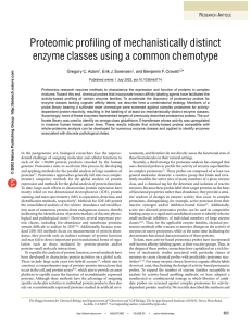 Proteomic profiling of mechanistically distinct enzyme classes using a common chemotype R A