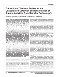 Trifunctional Chemical Probes for the Consolidated Detection and Identification of