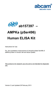 ab157397  – AMPKa (pSer496) Human ELISA Kit