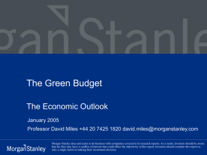 The Green Budget The Economic Outlook January 2005