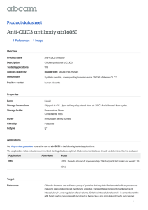 Anti-CLIC3 antibody ab16050 Product datasheet 1 References 1 Image