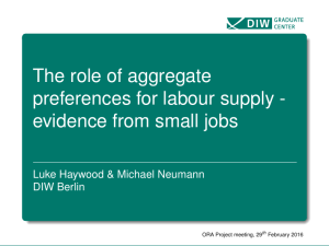 The role of aggregate preferences for labour supply -