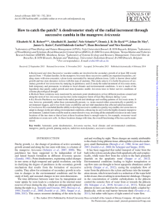 How to catch the patch? A dendrometer study of the... successive cambia in the mangrove Avicennia