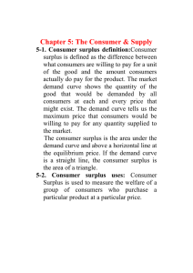 Chapter 5: The Consumer &amp; Supply
