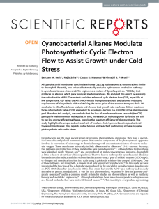 Cyanobacterial Alkanes Modulate Photosynthetic Cyclic Electron Flow to Assist Growth under Cold Stress