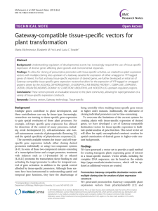 Gateway-compatible tissue-specific vectors for plant transformation Open Access
