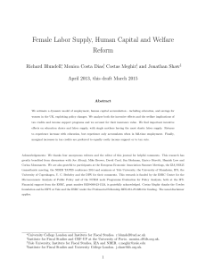 Female Labor Supply, Human Capital and Welfare Reform