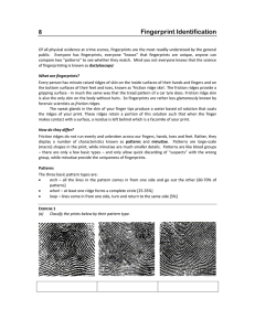 Fingerprint Identification 8