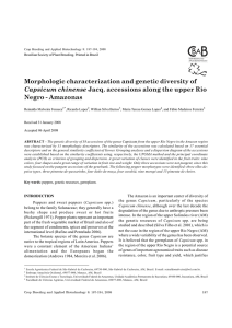 Morphologic characterization and genetic diversity of Negro - Amazonas Capsicum chinense