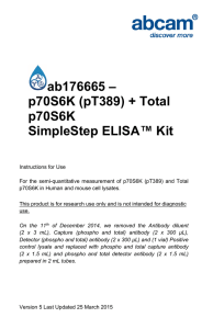 ab176665 – p70S6K (pT389) + Total p70S6K SimpleStep ELISA™ Kit