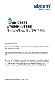 ab176651 – p70S6K (pT389) SimpleStep ELISA™ Kit