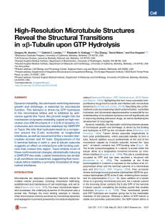 High-Resolution Microtubule Structures Reveal the Structural Transitions ab-Tubulin upon GTP Hydrolysis